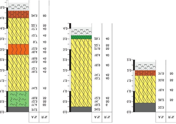 172 K. Lipka, J. Stabryła, M. Brożek Ryc. 3. Wybrane profile stratygraficzne wierceń na torfowisku Bachórzec Winne. A, % popielność; R, % stopień rozkładu Fig. 3. Selected stratigraphic profiles on the peatland Bachórzec Winne.