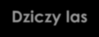 Dziczy las Dziczy Las - 1765,7 ha