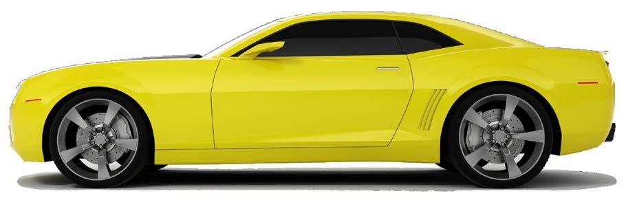 Camaro 306 SE Camaro 306 SE n gotowe rozwiązanie na problem chwastów dwuliściennych, n długi i elastyczny termin stosowania, n oszczędność -