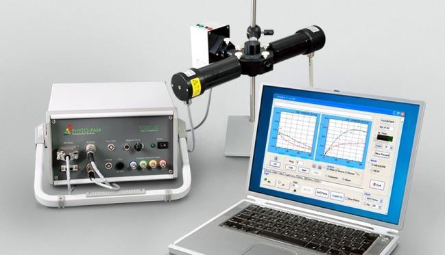 3. Fluorymetr typu PAM (Pulse amplitude-modulation) firmy Walz GmbH (opiekun sprzętu dr Filip Pniewski) pomiar fluorescencji chlorofilu w celu oznaczenia biomasy glonów i sinic w