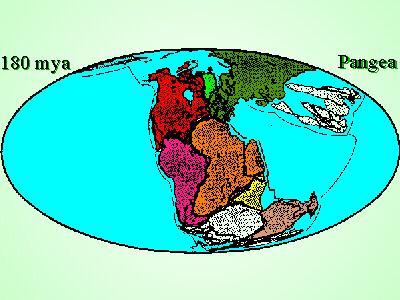 Wędrówki kontynentów Na skutek ruchu płyt tektonicznych skorupy Ziemi