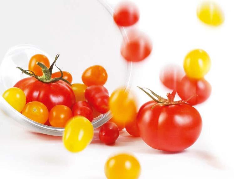 Pomidor warto pamiętać WARTO PAMIĘTAĆ! Odmiany w typie Cuor di bue (bawole serce) czy Cornue des Andes (w kształcie papryki) wymagają latem szczególnej ochrony przed wysoką temperaturą.