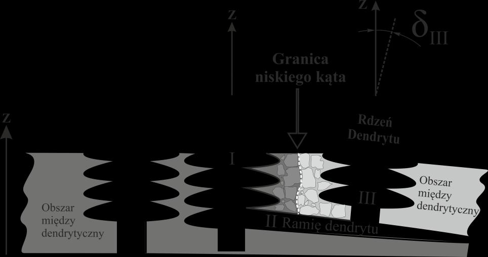 Dyskusja Wyników Rys. 79 Mechanizm powstawania granicy niskiego kąta przy przejściu frontu krystalizacji z selektora do zamka łopatki.