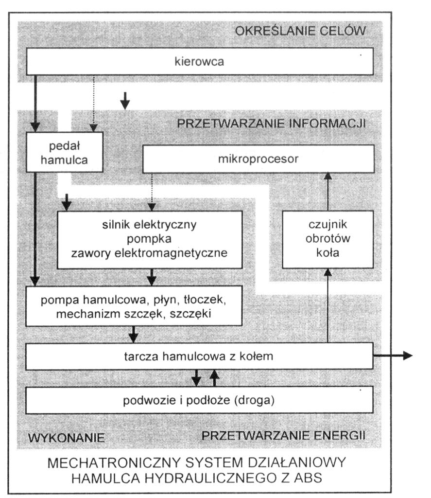 Struktury systemów Struktura systemu