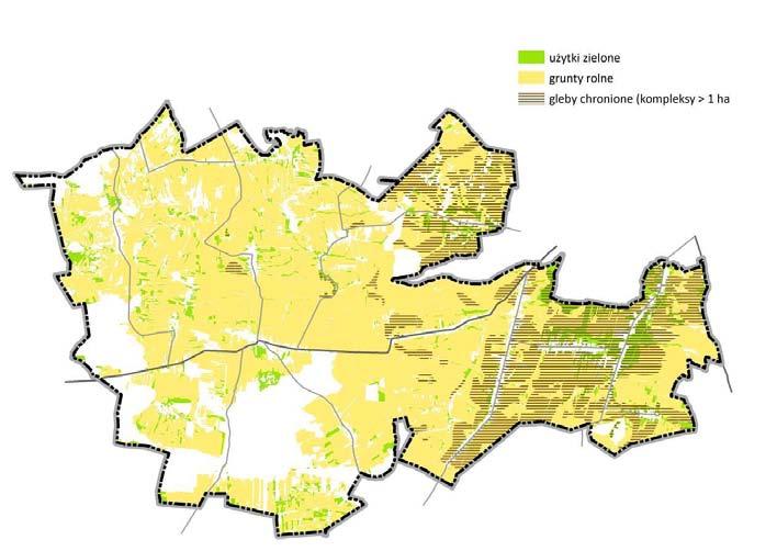 Rysunek 9 Struktura użytkowania gruntów rolnych w Niegowej (źródło: opracowanie własne) 7.5 