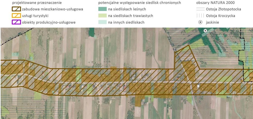 Rysunek 23 Lokalizacja terenów inwestycyjnych na tle szaty roślinnej Brzeziny źródło: opracowanie własne na podstawie SWDE, ortofotomapy i danych GDOŚ Gorzków Nowy W Gorzkowie Nowym istniejąca i