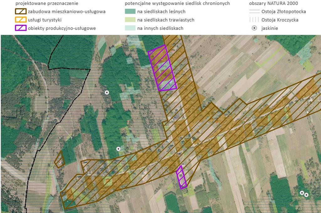 Rysunek 26 Lokalizacja terenów inwestycyjnych na tle szaty roślinnej Ludwinów źródło: opracowanie własne na podstawie SWDE, ortofotomapy i danych GDOŚ Łutowiec W Łutowcu istniejąca zabudowa
