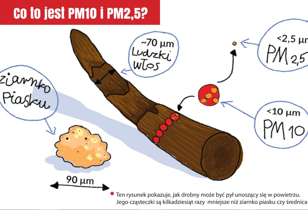 II. Co to jest PM10 i PM2.5?