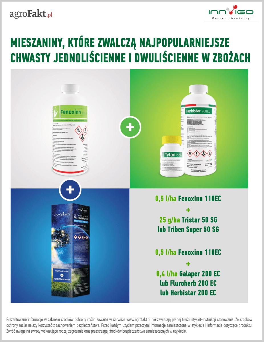 Mieszaniny, które zwalczą najpopularniejsze chwasty jednoliścienne