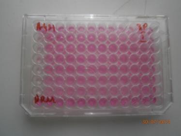 Wilkinson, 2014). Rys. 9. Różne rodzaje biopaliw (źródło: http://cleantechnica.