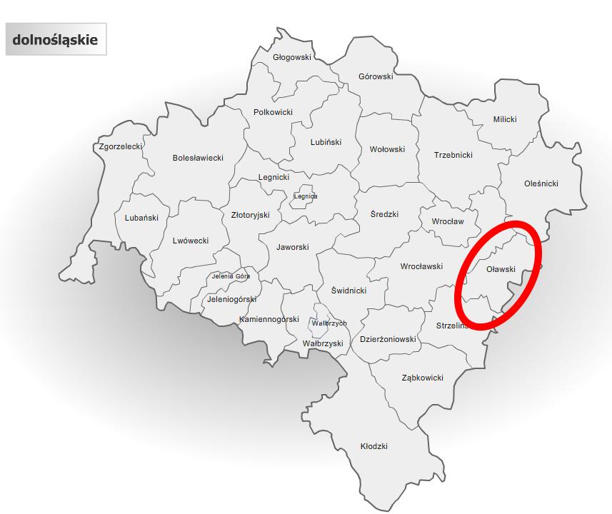 2. Diagnoza sytuacji społecznej w powiecie oławskim z prognozą zmian 2.1.