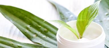 odnawialnych Identyczny z naturalnym lipid bariery