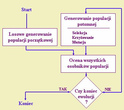 TO COMPUTERS chromosome AND RECEIVING FITNESS F. wykład 1 VALUE fitness f.