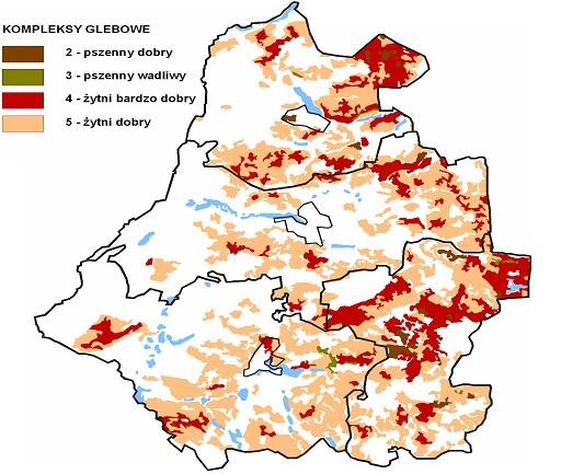 - pozostałe (grunty rolne pod budynkami, rowami i stawami): 1 303 ha grunty leśne 19 943 (25,2%) ha w tym: - lasy: 19 345 ha, - grunty zadrzewione i zakrzaczone: 598 ha grunty zabudowane i