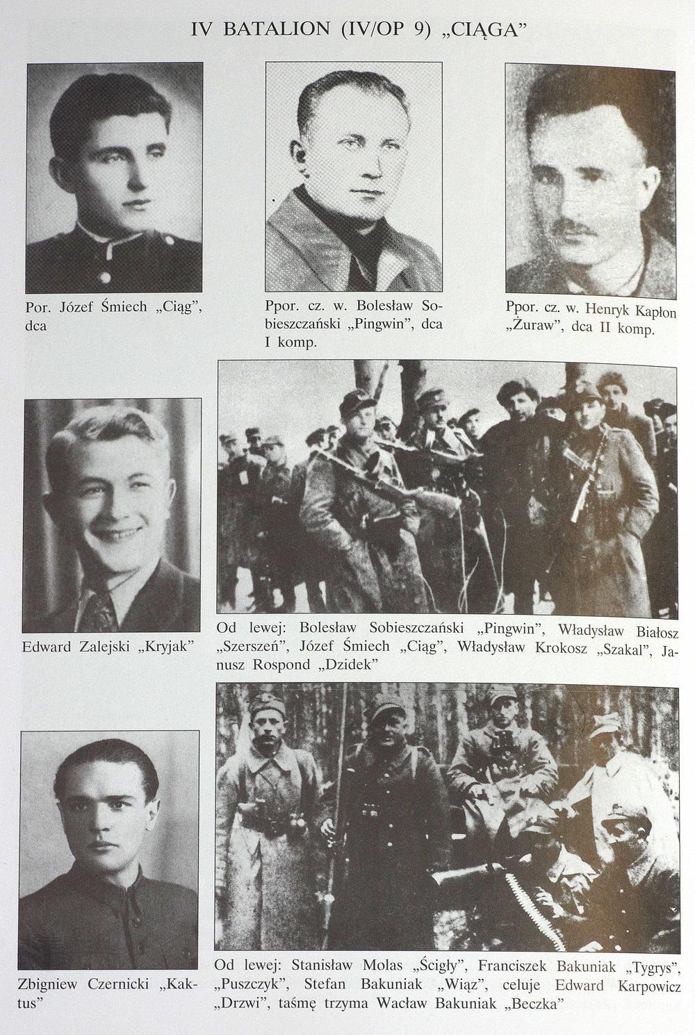 Załącznik nr 4