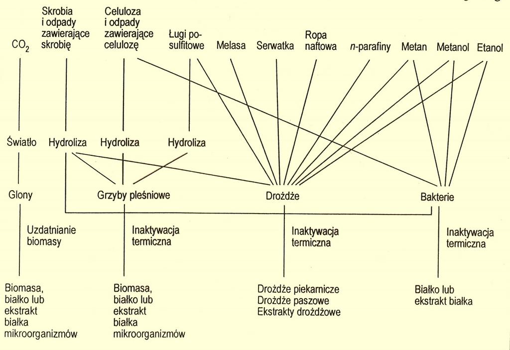 Zestawienie substratów i mikroorganizmów w