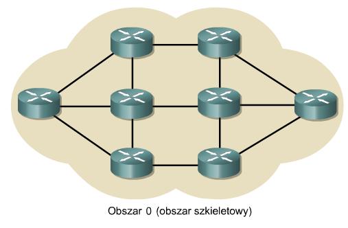 Protokoł OSPF w pojedynczym obszarze W porównaniu z protokołami RIP v1 i v2 protokół OSPF