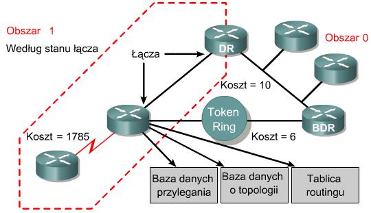 Terminologia używana w