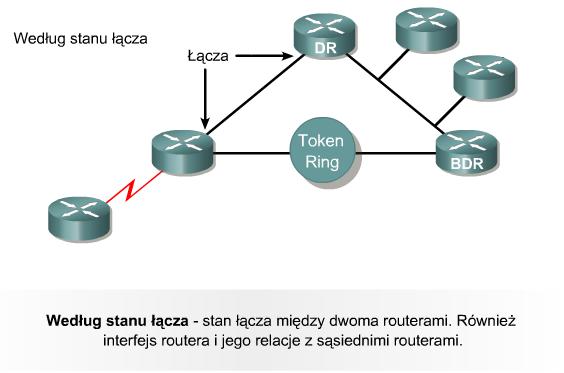 Terminologia używana w