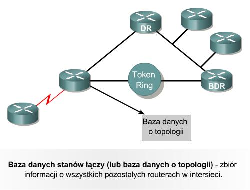 Terminologia używana w