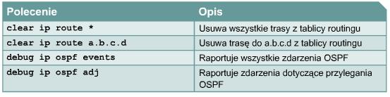 Polecenia debug i clear sprawdzające