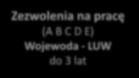 Zatrudnianie cudzoziemców Zezwolenia na pracę (A B C D E) Wojewoda -