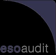 Opinia niezależnego biegłego rewidenta Dla Walnego Zgromadzenia i Rady Nadzorczej J.S. Hamilton Poland S.A. (cd.) ESO Audit s.c. Al. Grunwaldzka 103A 80-244 Gdańsk tel./fax +48 58 325 25 55 www.