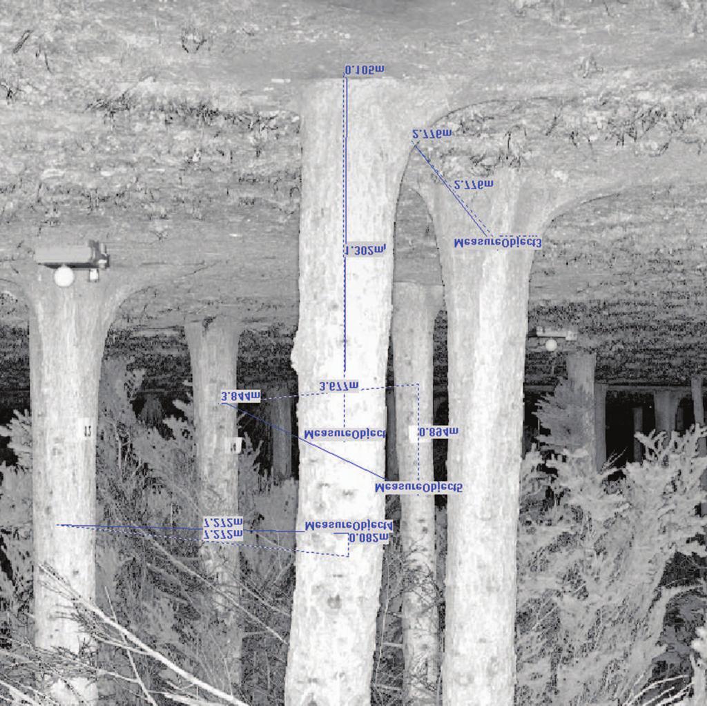 358 13. Systemy informacji przestrzennej Ryc. 175. Obraz planarny chmury punktów TLS biogrupy świerków z wykonanymi pomiarami manualnymi (skaner: FARO FOCUS 3D dzięki uprzejmości TPI Kraków; mat.