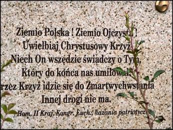 306 - P2130923-30 z 13.VI.