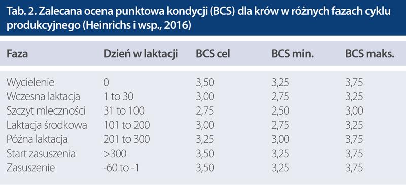 .pl Ocena punktowa kondycji w różnych fazach cyklu produkcji. Cel jest jasny (patrz tab. 2) w momencie rozpoczęcia zasuszenia kondycja BCS powinna wynosić ok. 3,5 (maks.