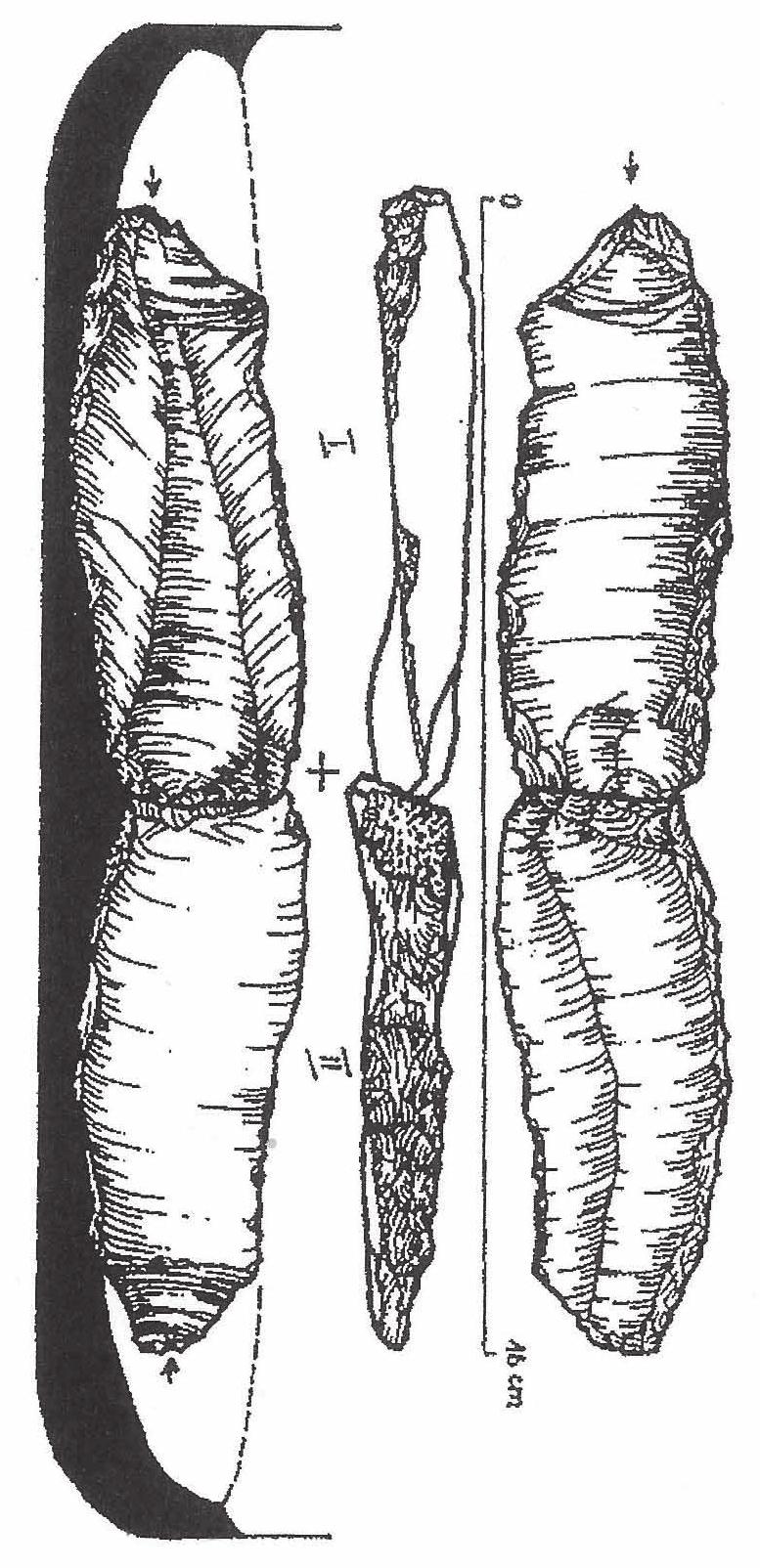 Notes on Bronze Age Flintwork 213 of other bifacial forms. However, during the entire Bronze Age some segmental sickle insets are also present, as proven by the gloss they have (Libera, 2001, 107ff.