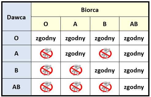 Ogólne zasady dobierania KKCz Rycina poniżej przedstawia zasady dobierania KKCz zgodnego pomiędzy dawcą a biorcą. Rycina 6: Ogólne zasady dobierania KKCz w układzie ABO Zasada 2.