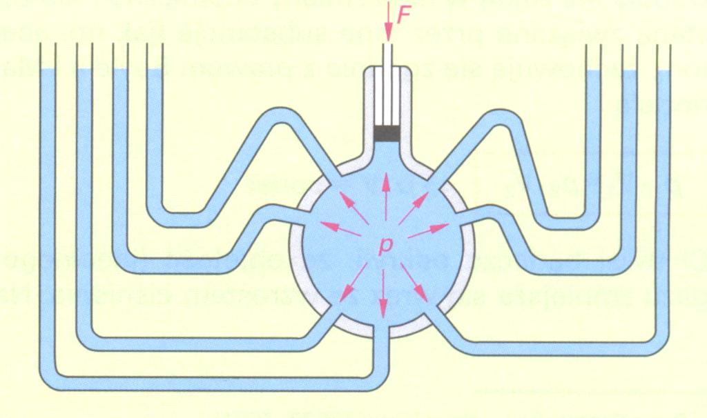 Podstawowe parametry Rozprzestrzenianie się ciśnienia Ciecze i gazy przyjmują zawsze kształt naczynia, w którym są zamknięte.