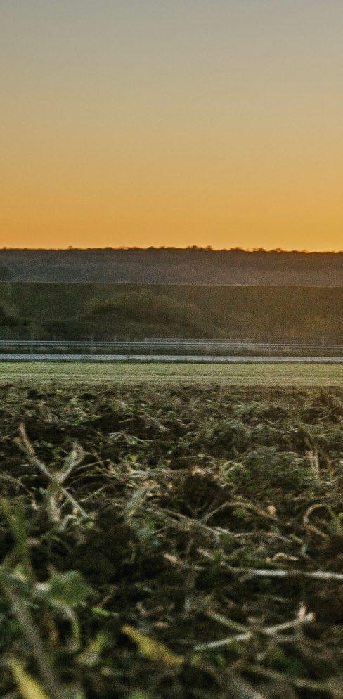 poziom komfortu użytkowania. Dostępne są również przekładnie John Deere PowrQuad Plus oraz AutoQuad Plus.
