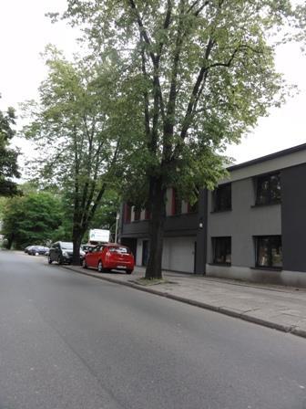 Zdjęcia 4-6 Droga dojazdowa i najbliższe otoczenie (od strony ulicy Piłsudskiego) Opis poszczególnych nieruchomości Nieruchomość objęta księgą wieczystą nr LD1P/00013699/7 -