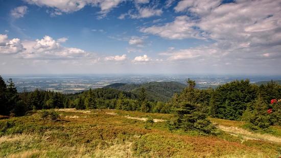 ..i w złoto przechodzą późnego lata, niedawno zielone łany traw Hala na Błatniej 18.08.