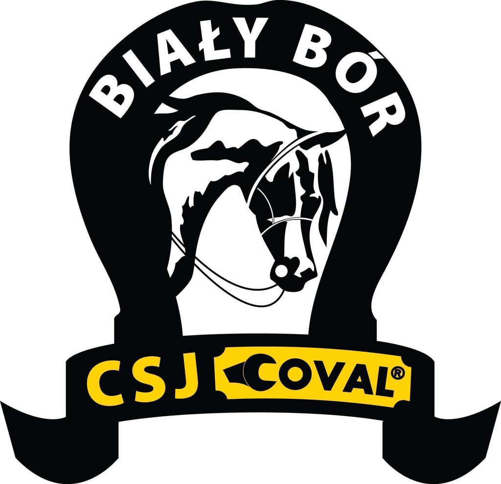 ZAWODY OGÓLNOPOLSKIE CSN W SKOKACH PRZEZ PRZESZKODY ELIMINACJE DO MPMK BIAŁY BÓR 29.06-01.07.2012 r.