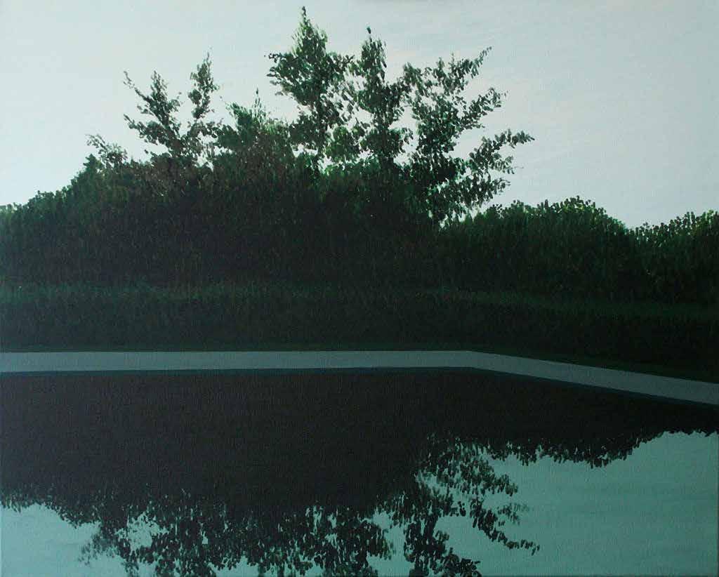 10 8. Barbara Gębczak Basen 3, 2011 akryl, płótno, 61