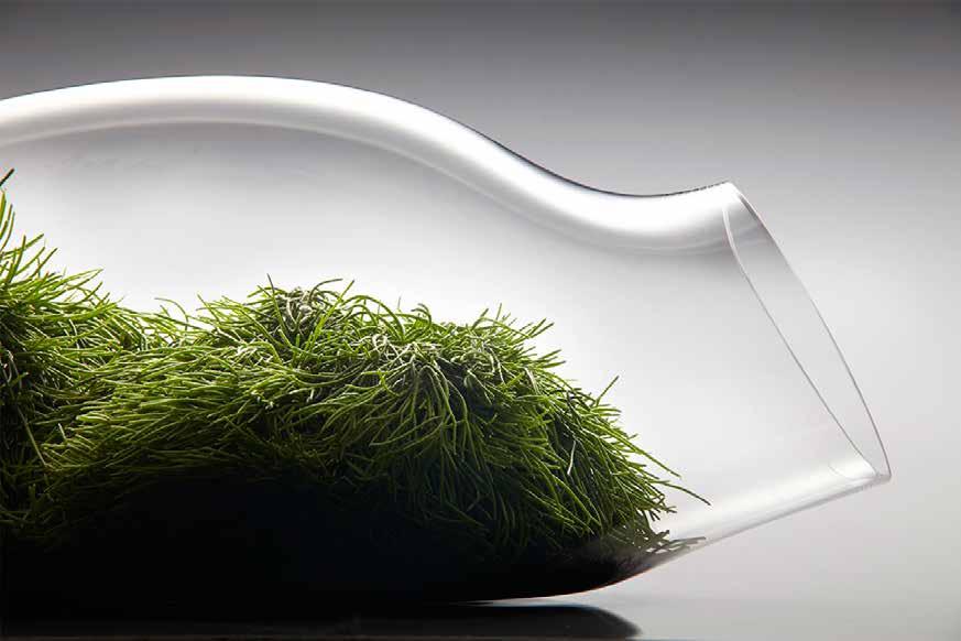 109 107. Aleksandra Kujawska, Glass garden Szkło kryształowe wykonane metodą hutniczą, ręcznie formowane z piszczeli bez użycia formy, ręcznie szlifowane i polerowane; wys. 14, szer. 48 cm, gł.
