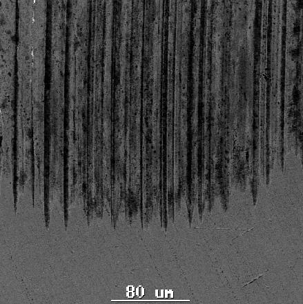 pylu 1 
