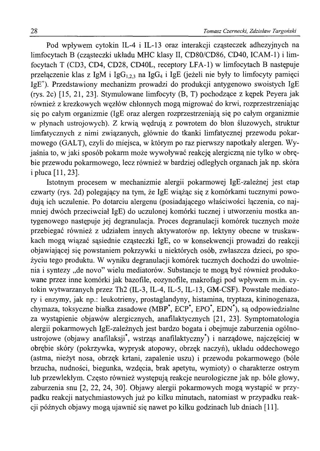 28 Tomasz Czernecki, Zdzisław Targoński Pod wpływem eytokin IL-4 i IL-13 oraz interakcji cząsteczek adhezyjnych na limfocytach B (cząsteczki układu MHC klasy II, CD80/CD86, CD40, ICAM-1) i