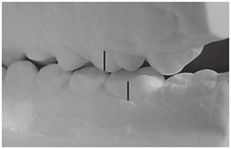 50 Agata Marcinkowska-Mituś et al. Fig. 5.