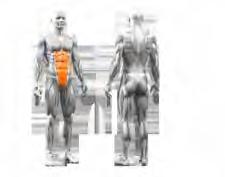 inclined backrest stabilises the body posture and makes for an isolated workout of the abdominal muscles two different