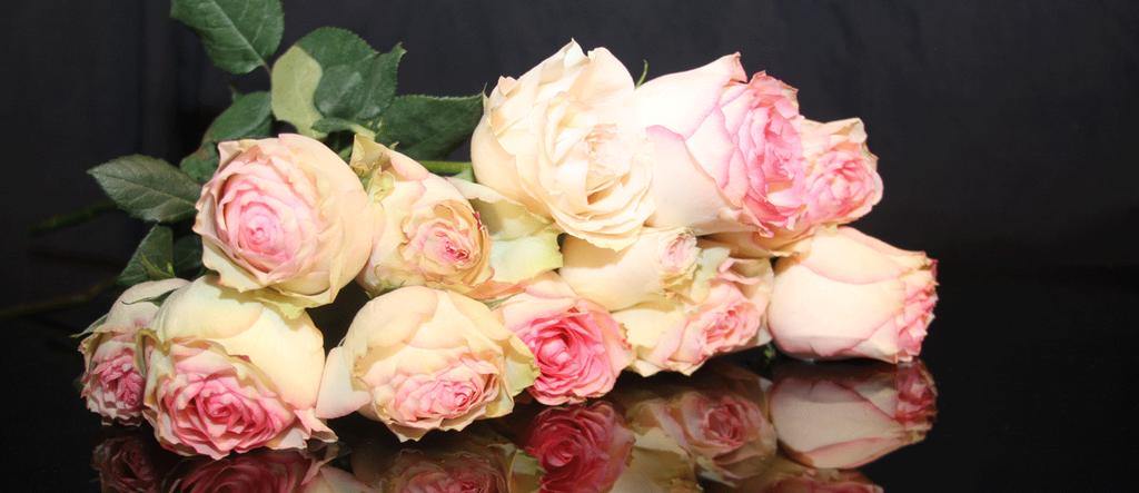 ODPOWIEDNIE KWIATY By odpowiednio wyrazić kondolencje, żal i smutek po stracie bliskiej osoby mile widziana jest obecność kwiatów, nie tylko w trakcie ceremonii pogrzebowej, ale jeszcze bezpośrednio