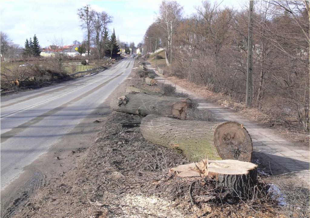 przemieszczenie pachnicy ze zniszczonego