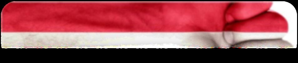 Patriotyzm