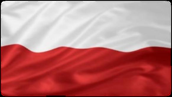 Pytanie: Jakie znaczenie przy zakupie produktów i usług z następujących kategorii ma dla Ciebie kraj