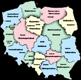 Nasze zaplecze realizacyjne Realizujemy badania jakościowe i ilościowe na terenie całej Polski. Przestrzegamy standardów ESOMAR i OFBOR.