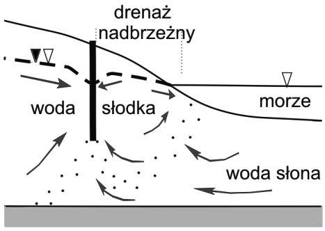 Drenaż ten występuje najczęściej na wybrzeżach niskich i płaskich oraz niekiedy na wysokich klifowych.