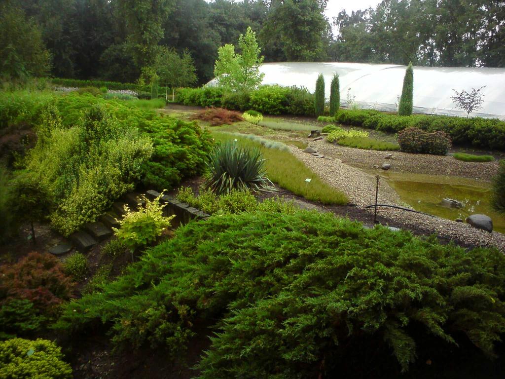 Accumulation of components in a typical pond in an agricultural-forest environment Content kg/object N P Water 20 5 Sediments 670 84 Plants